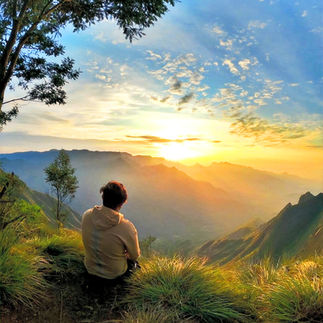 Munnar offers adventure, but in a more nature-immersive way. It’s known for tea plantation treks, waterfall hikes, and wildlife spotting