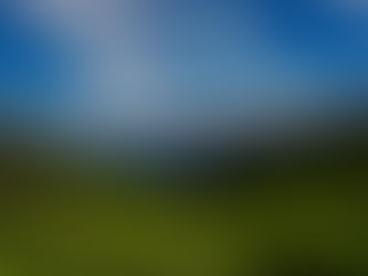 Why Vagamon Pine Forest Is One of Vagamon’s Most Scenic Spots