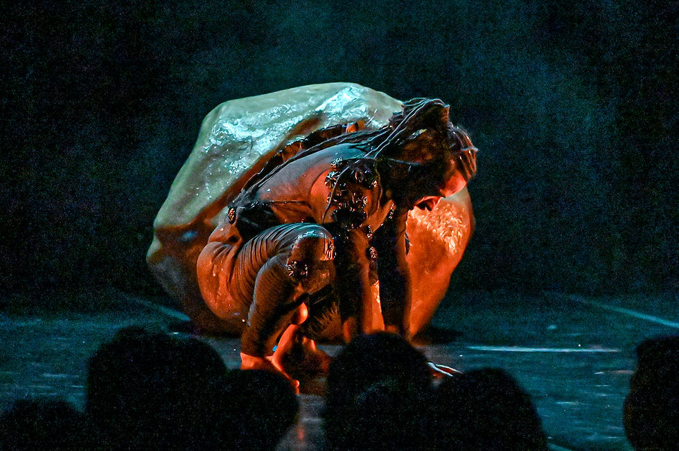 Nego D'Agua_Fotografia de Nelson Miranda (1) (1).jpg