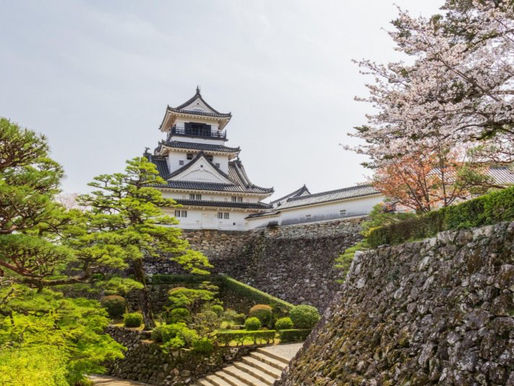 Kochi, Japan: Discover the Soul of Shikoku Off the Beaten Path