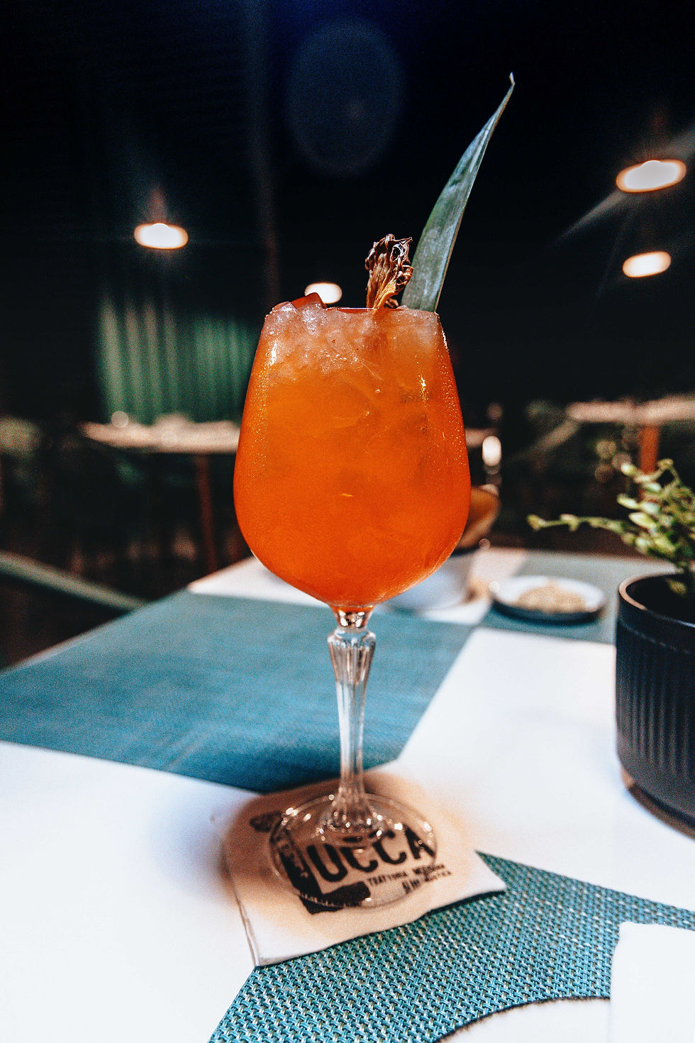 Lucca Trattoria Aruba Enrique Balestrini The Foode Life