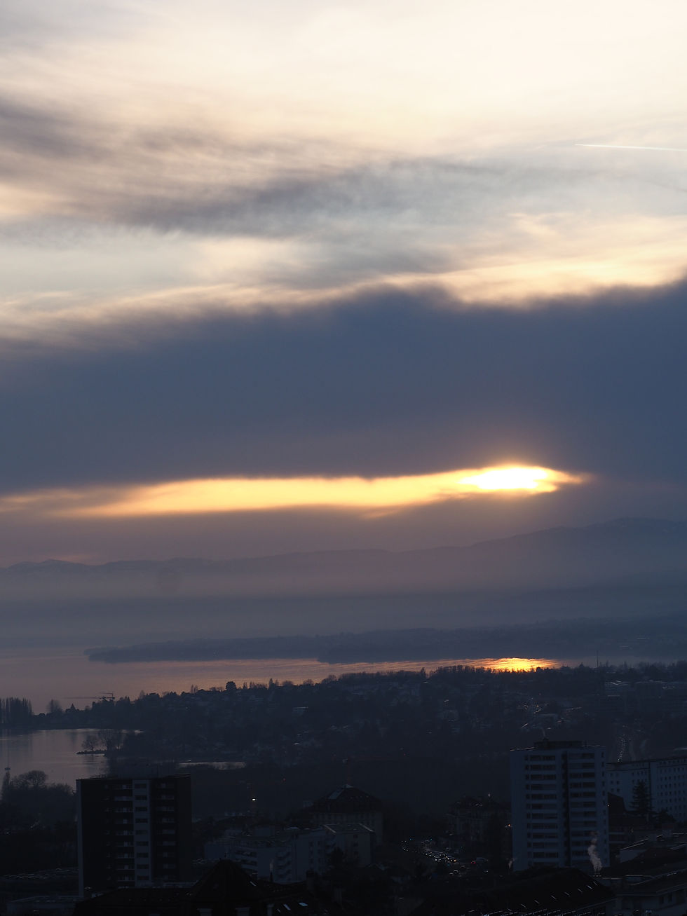 P2210002.JPG