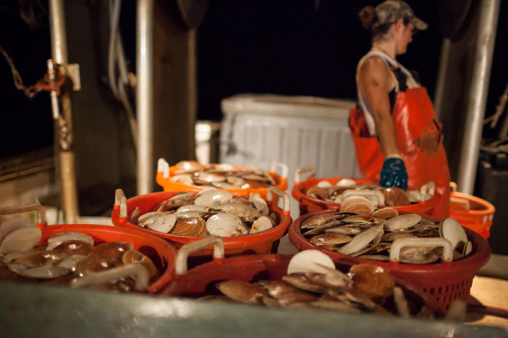 Big Win for Maine Scallop Fishermen