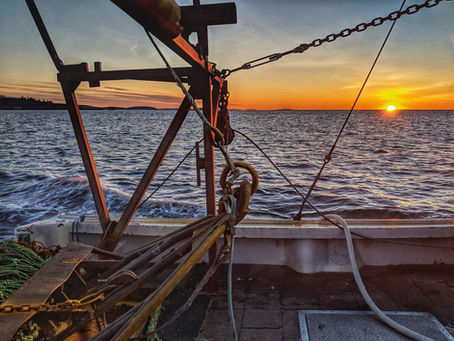 My day on a scallop boat