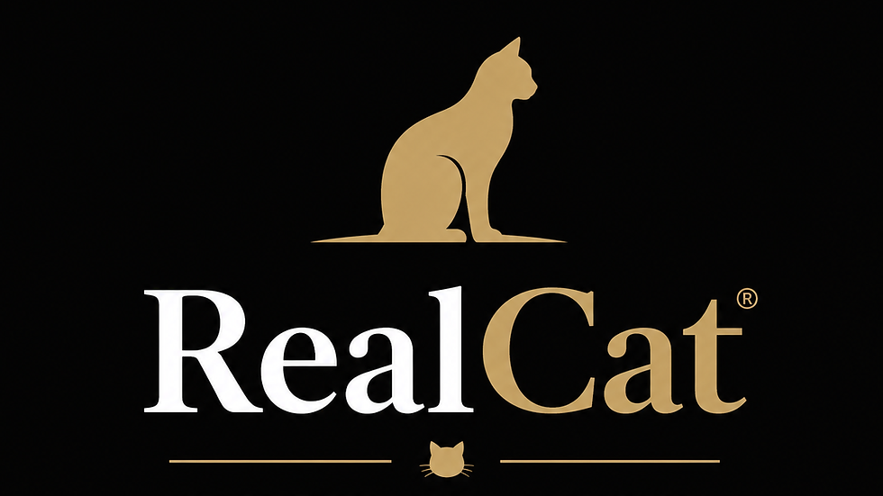 Real Cat.png