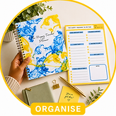 Organise Pic.png
