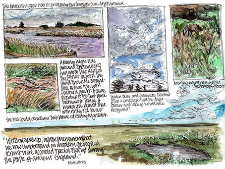 A bike ride along the marshes