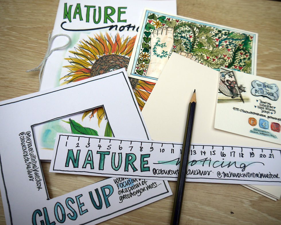 Nature noticing packs
