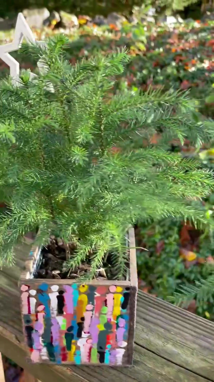 Thumbnail: People Box with Live Tree