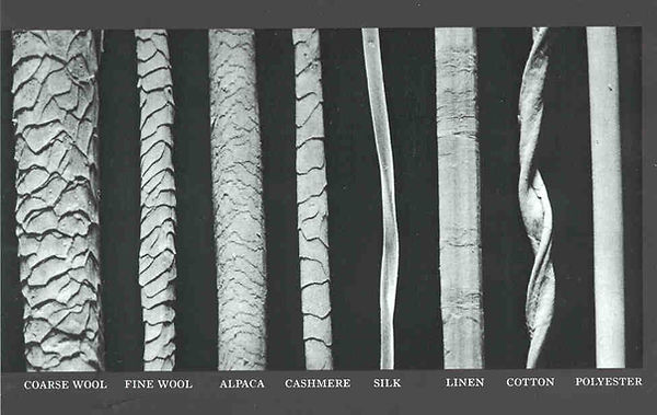 fiber compare.jpg