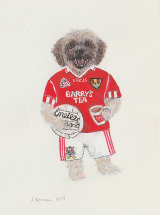 Cork Gaelic Football Barry's Tea Dog