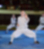 demonstration-moines-shaolin-ceremonie-ouverture-fadam-games.jpg