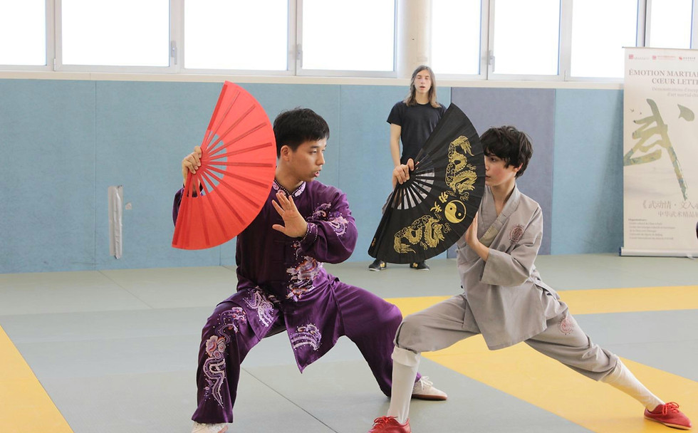 duo-taichi-évantail2.jpg