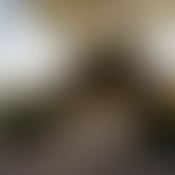 Gazebo next to a lake in Monona Wisconsin