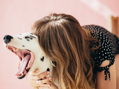 Here's Why Your Dog's Breath Might Smell