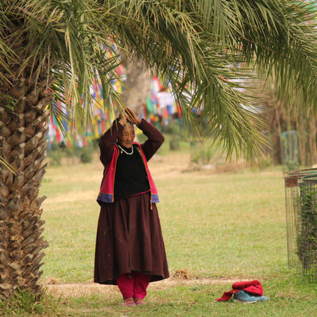 祈りの朝のレワルサール