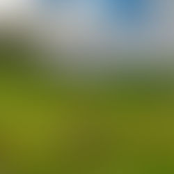 2020冬至。コズミックコンシャスネス