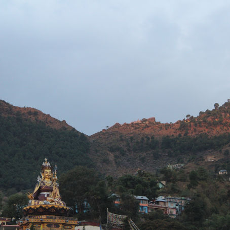 朝のパドマサンババ