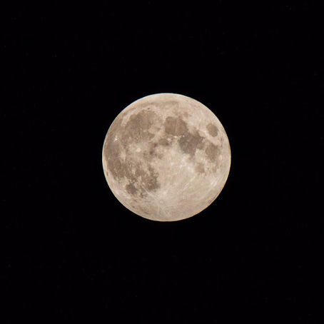 フルムーンの女神のお祈り