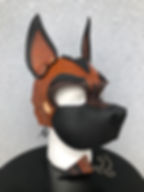 Pup Stoic