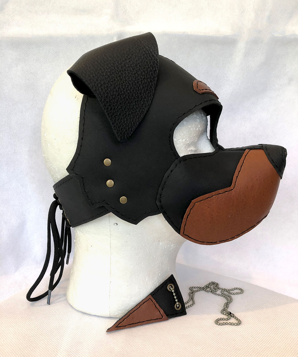 Thumbnail: Rottweiler Puppy Hood