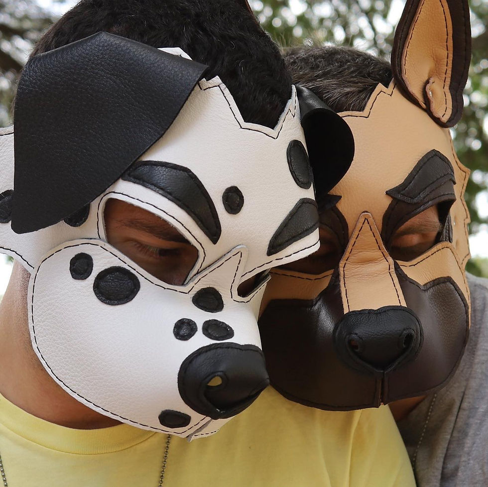 Halex's puppy hood