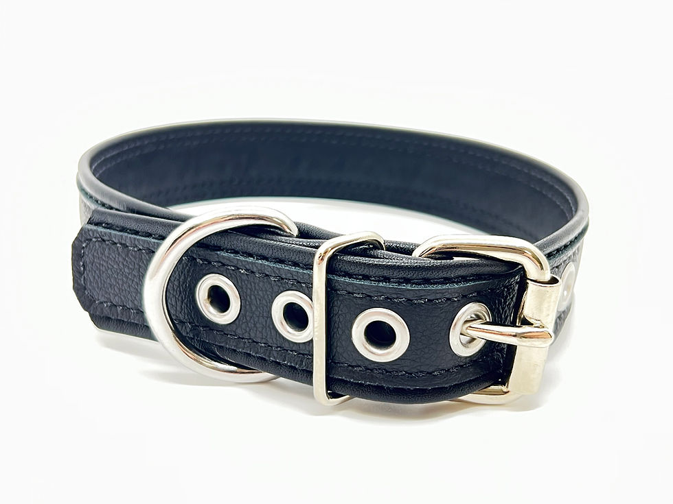 Thumbnail: Leather Decorative Collars