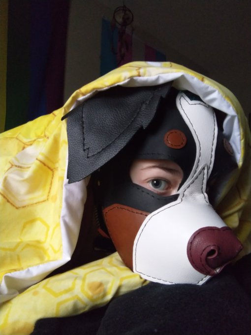 Pup Teddy