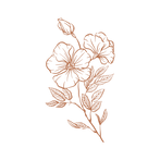 poo poo (2).png