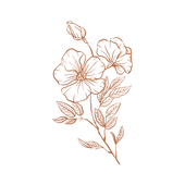 poo poo (2).png