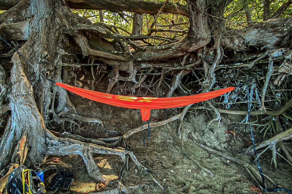 7 Advantages of Camping in a Hammock vs. a Tent