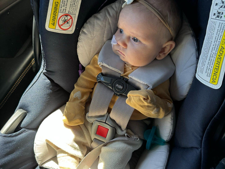 Riverlyn's road to home...🏡 - Update -