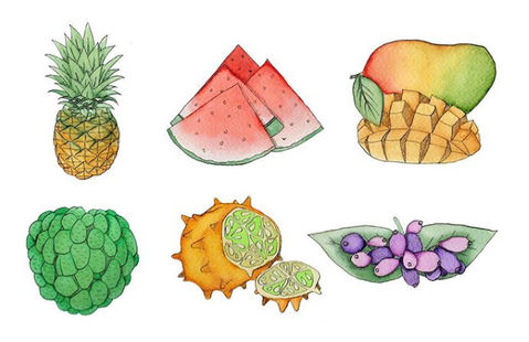 African fruits,Pineapple, Watermelon, Mangoes, Sugar Apple, Kiwano, African Pear,Watercolour,Dip pen & ink,Dip pen
