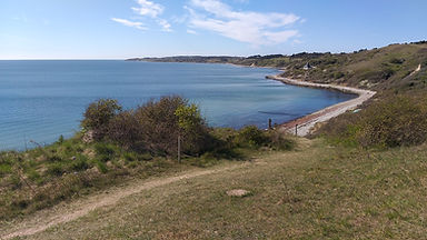 20200417_153410.jpg