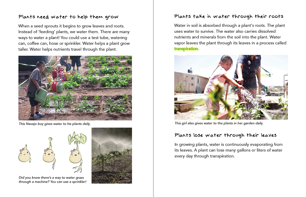 Thumbnail: Plants Need Water and Sunlight