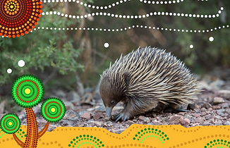 Screen Shot 2023-05-14 at 11.24.53 AM.png