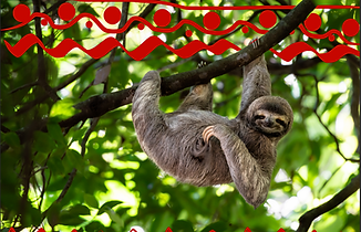 Screenshot 2023-05-14 at 11.23.51 AM.png