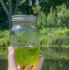 Activity Image 0.JPG