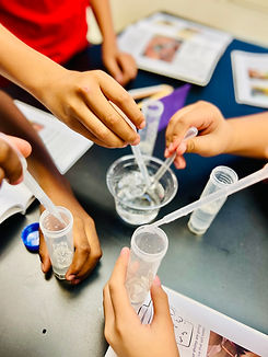 Photo Aug 31 2022, 11 25 47 AM.jpg