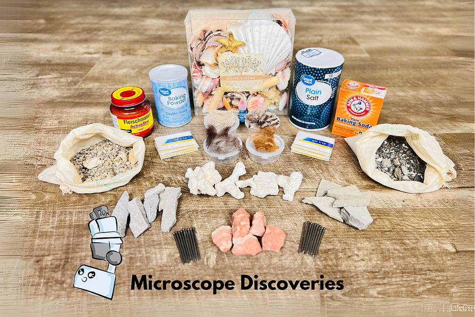 Thumbnail: STEM Discovery Shelves