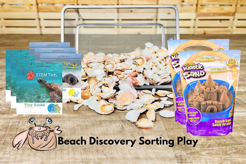 Thumbnail: STEM Discovery Shelves