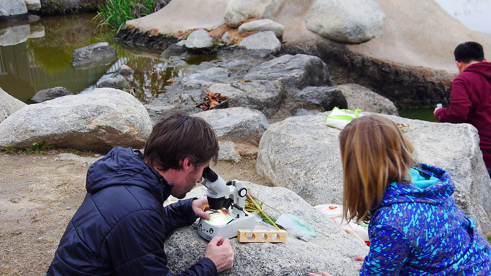 Thumbnail: Meet Cuteda, the STEMTaught Microscope Cart!