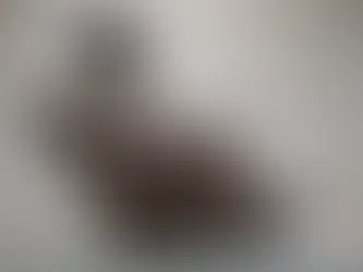 Laziness: Murderer Of Lifespans