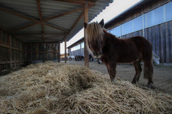 IMG_1731-2_1600x1067