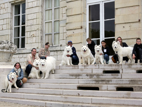 La réunion de famille #2