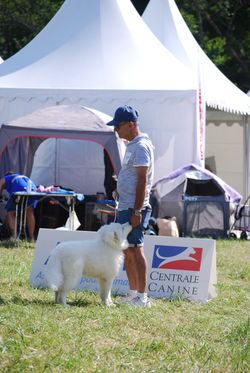 DSC_0304.JPG