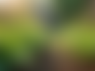 Fighting Racism and Inequality: A Vision for Change