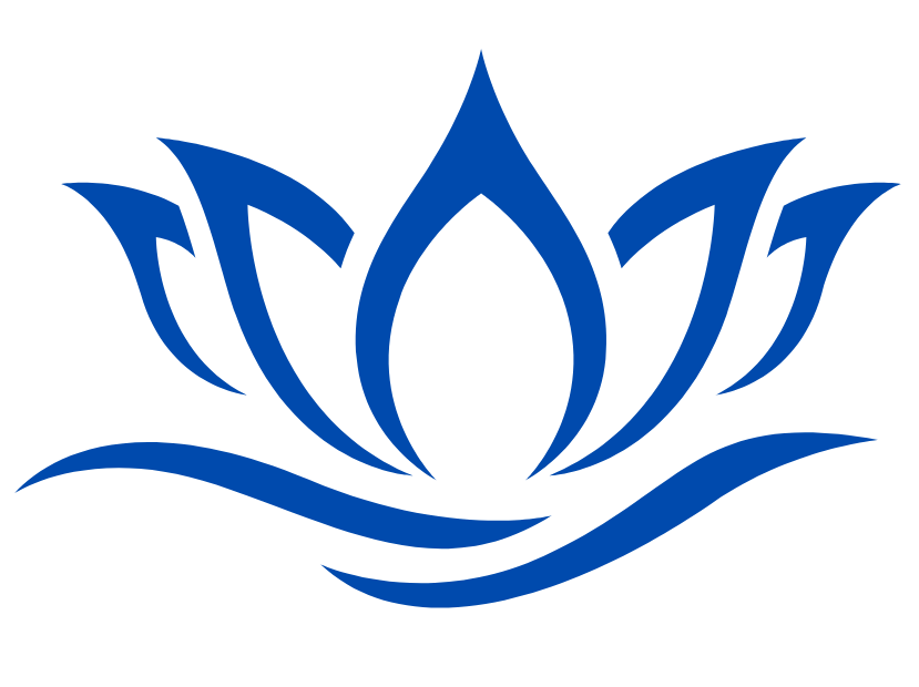 DVR Logo