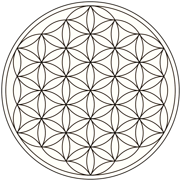 Forfatterens bilde: Shivani Ma