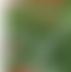 STAGIONE 2021 - 2022